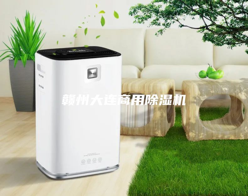 赣州大连商用除湿机
