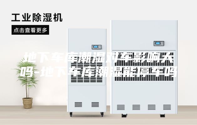 地下车库潮湿对车影响大吗-地下车库潮湿能停车吗