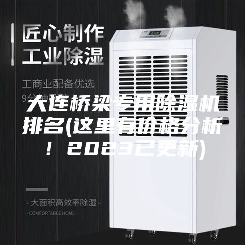 大连桥梁专用除湿机排名(这里有价格分析！2023已更新)