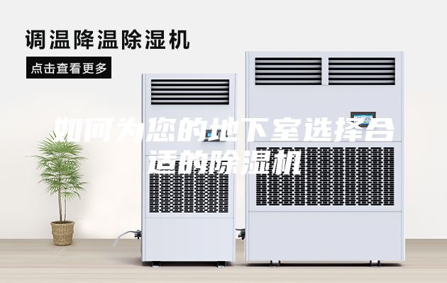 如何为您的地下室选择合适的除湿机