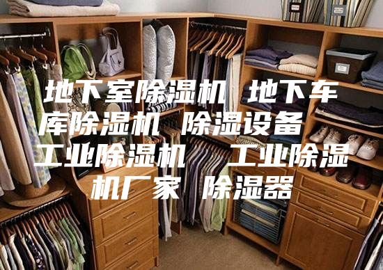 地下室除湿机 地下车库除湿机 除湿设备  工业除湿机  工业除湿机厂家 除湿器