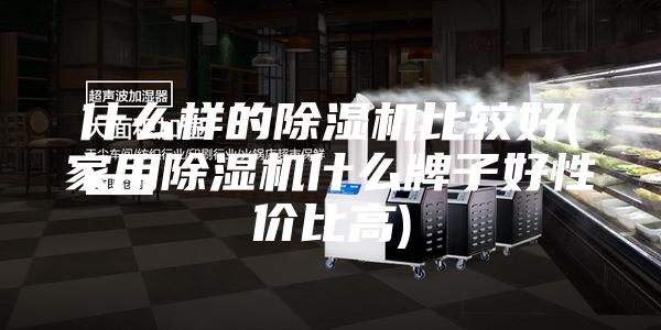 什么样的除湿机比较好(家用除湿机什么牌子好性价比高)