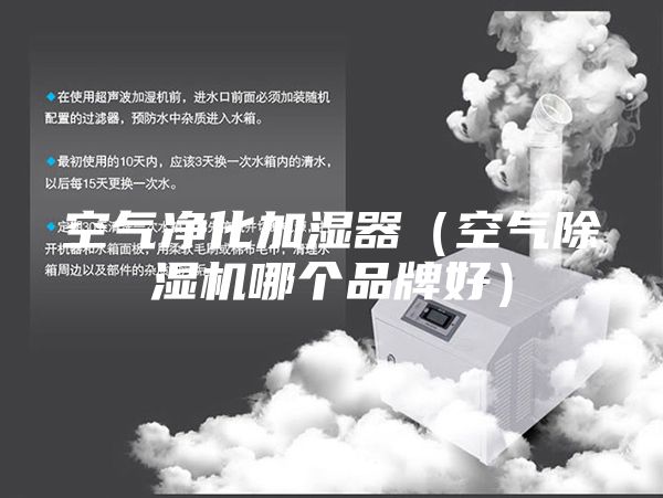 空气净化加湿器（空气除湿机哪个品牌好）