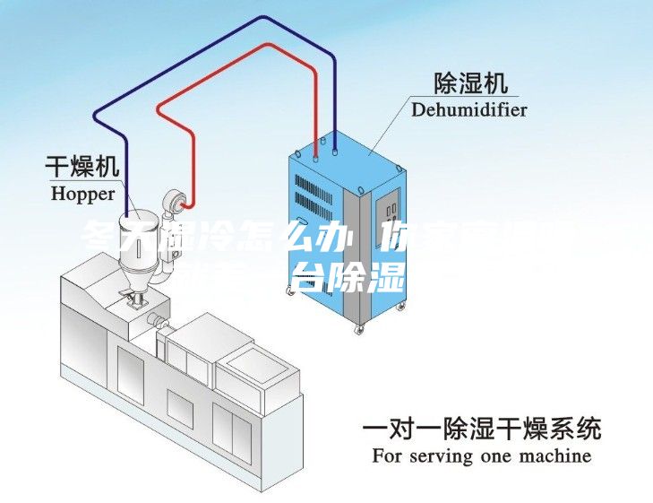 冬天湿冷怎么办 你家离温暖就差一台除湿机了