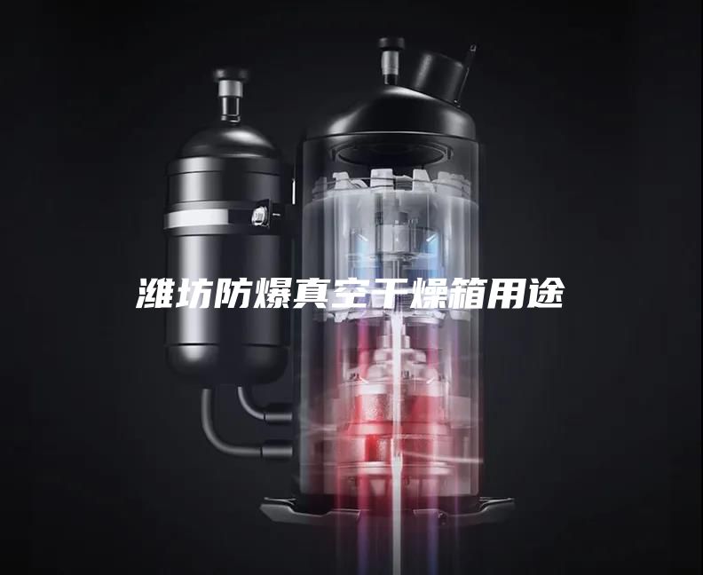潍坊防爆真空干燥箱用途