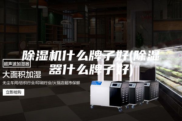 除湿机什么牌子好(除湿器什么牌子好)