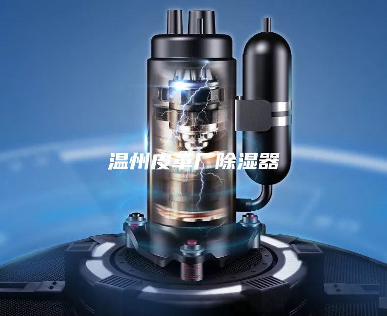 温州皮革厂除湿器