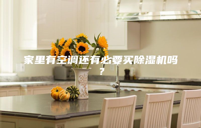 家里有空调还有必要买除湿机吗？