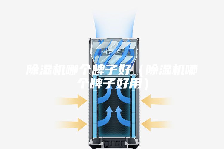 除湿机哪个牌子好（除湿机哪个牌子好用）