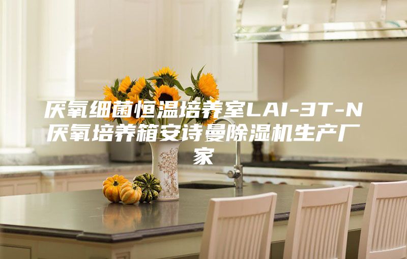 厌氧细菌恒温培养室LAI-3T-N厌氧培养箱安诗曼除湿机生产厂家