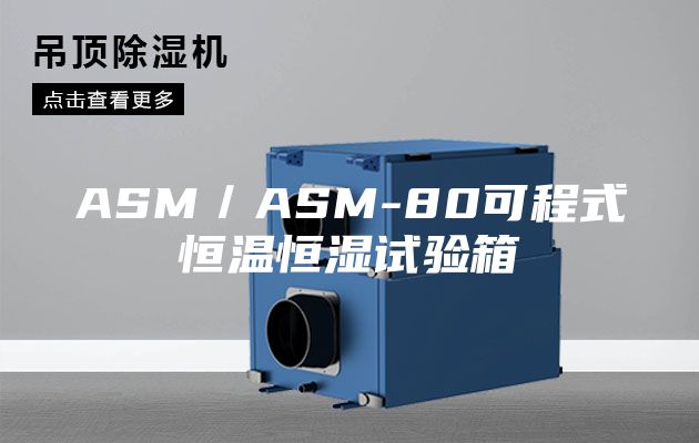 ASM／ASM-80可程式恒温恒湿试验箱