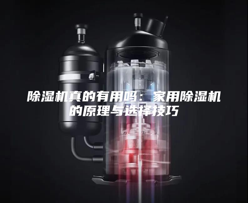 除湿机真的有用吗：家用除湿机的原理与选择技巧