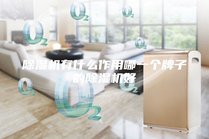 除湿机有什么作用哪一个牌子的除湿机好