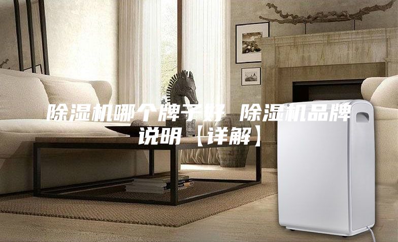 除湿机哪个牌子好 除湿机品牌说明【详解】
