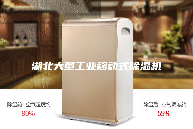 湖北大型工业移动式除湿机