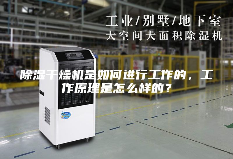 除湿干燥机是如何进行工作的，工作原理是怎么样的？