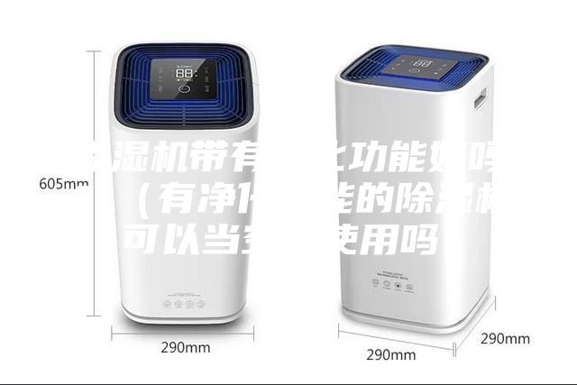 除湿机带有净化功能好吗？（有净化功能的除湿机可以当空净使用吗）