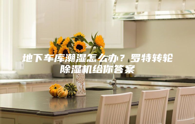 地下车库潮湿怎么办？罗特转轮除湿机给你答案