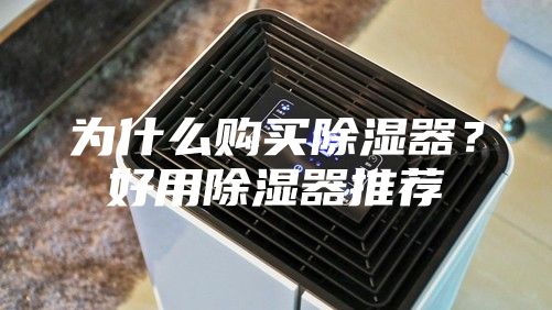 为什么购买除湿器？好用除湿器推荐