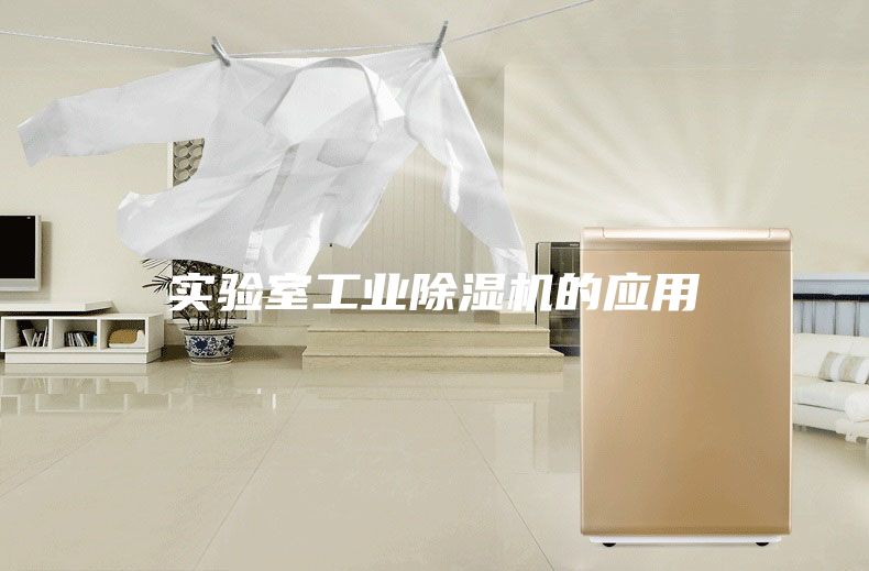 实验室工业除湿机的应用