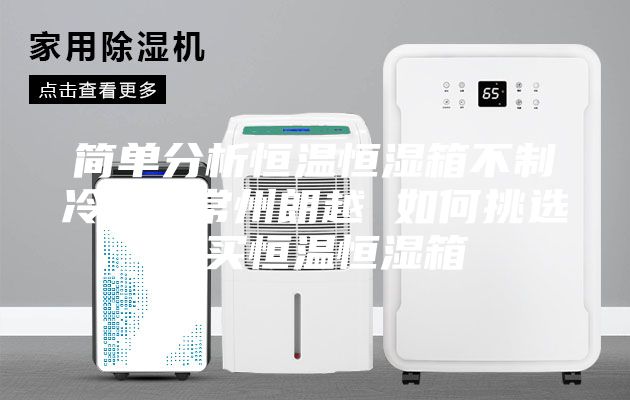 简单分析恒温恒湿箱不制冷----常州朗越 如何挑选购买恒温恒湿箱