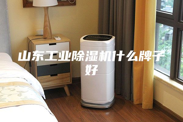 山东工业除湿机什么牌子好