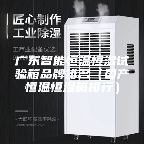 广东智能恒温恒湿试验箱品牌排名（国产恒温恒湿箱排行）