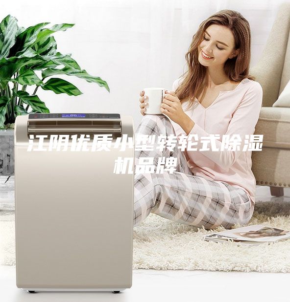 江阴优质小型转轮式除湿机品牌