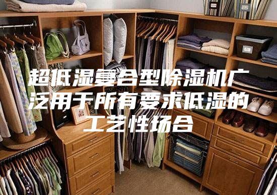 超低湿复合型除湿机广泛用于所有要求低湿的工艺性场合