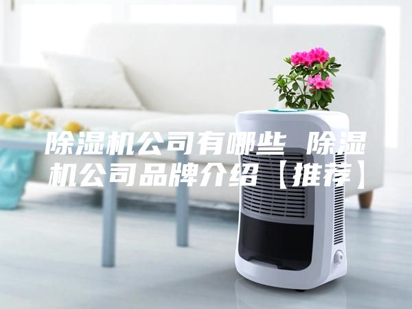 除湿机公司有哪些 除湿机公司品牌介绍【推荐】