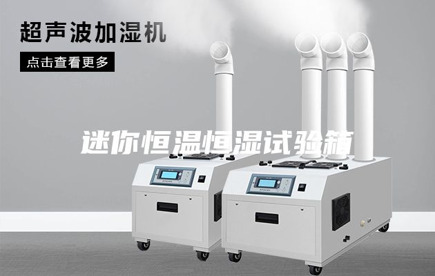 迷你恒温恒湿试验箱