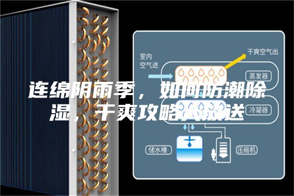 连绵阴雨季，如何防潮除湿，干爽攻略大放送
