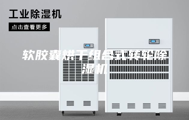 软胶囊烘干组合式转轮除湿机