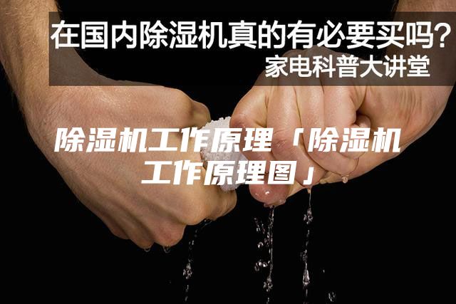 除湿机工作原理「除湿机工作原理图」