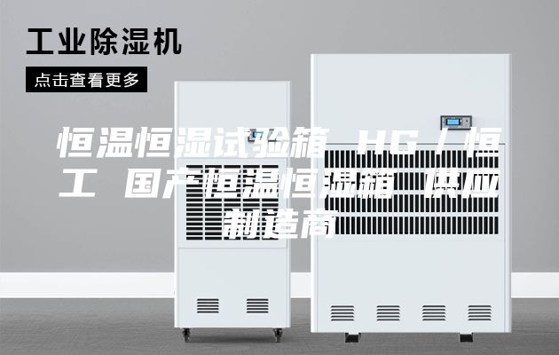 恒温恒湿试验箱 HG／恒工 国产恒温恒湿箱 供应制造商