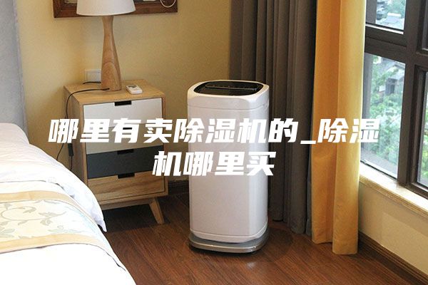 哪里有卖除湿机的_除湿机哪里买