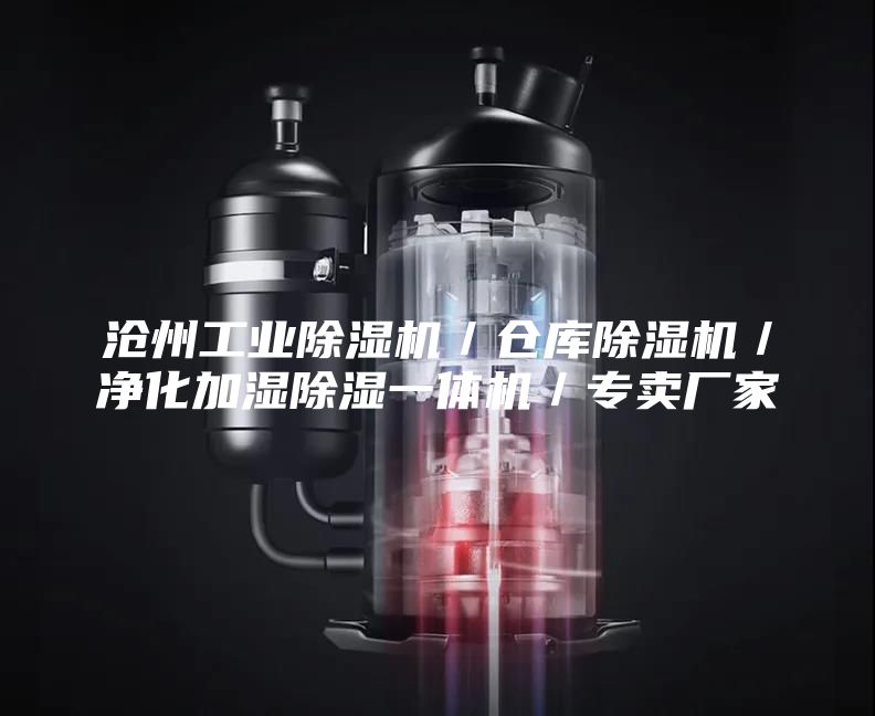 沧州工业除湿机／仓库除湿机／净化加湿除湿一体机／专卖厂家
