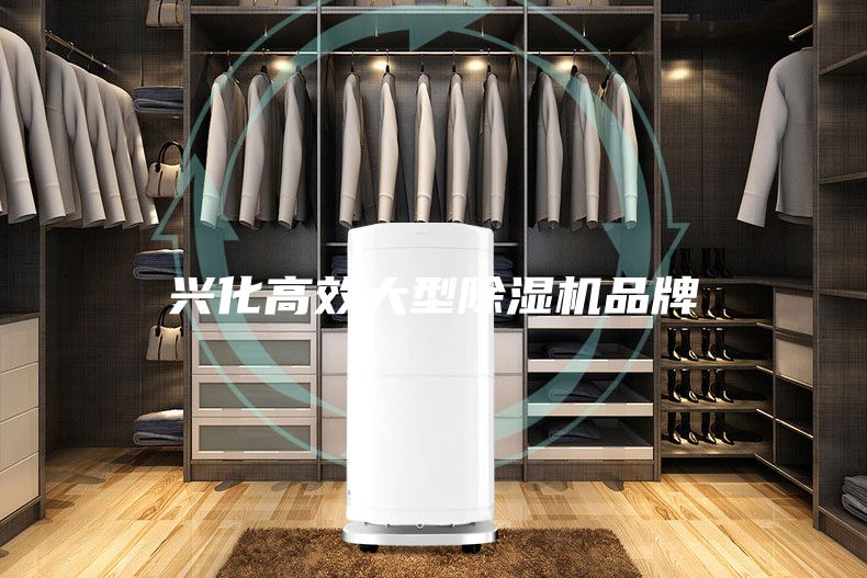兴化高效大型除湿机品牌
