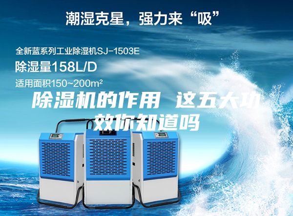 除湿机的作用 这五大功效你知道吗