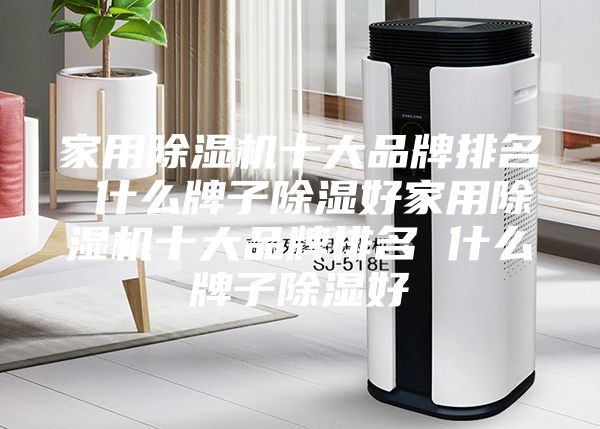 家用除湿机十大品牌排名 什么牌子除湿好家用除湿机十大品牌排名 什么牌子除湿好