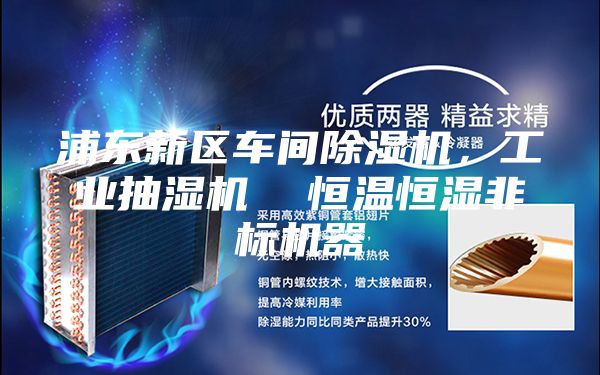 浦东新区车间除湿机，工业抽湿机  恒温恒湿非标机器