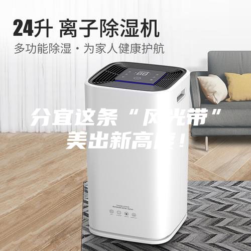 分宜这条“风光带”美出新高度！