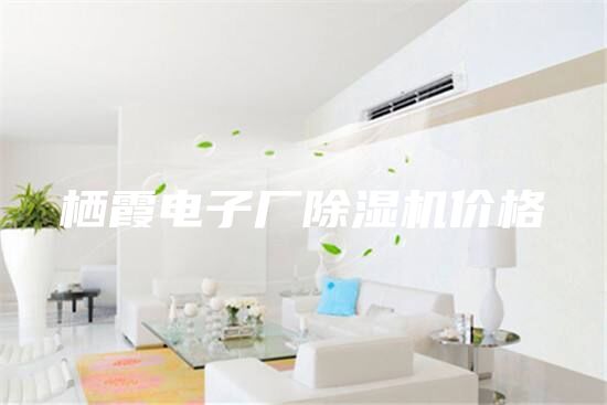 栖霞电子厂除湿机价格