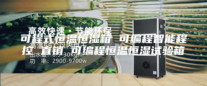 可程式恒温恒湿箱 可编程智能程控 直销 可编程恒温恒湿试验箱
