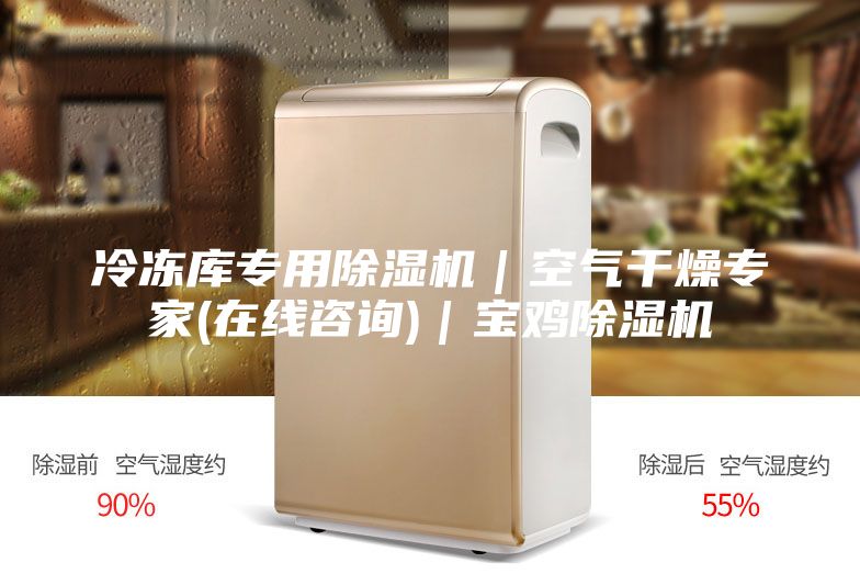 冷冻库专用除湿机｜空气干燥专家(在线咨询)｜宝鸡除湿机