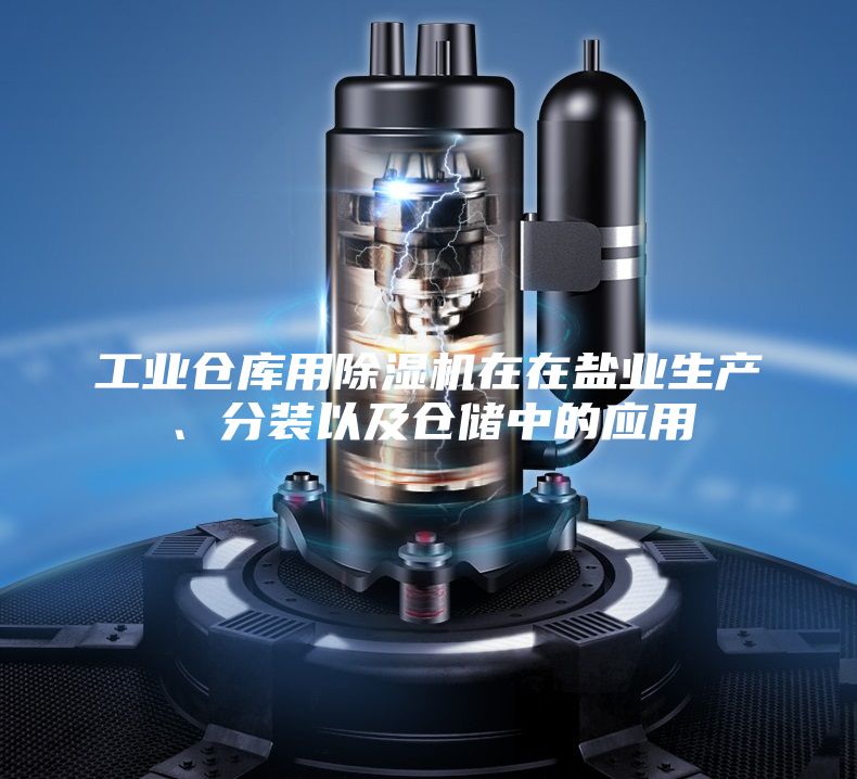 工业仓库用除湿机在在盐业生产、分装以及仓储中的应用