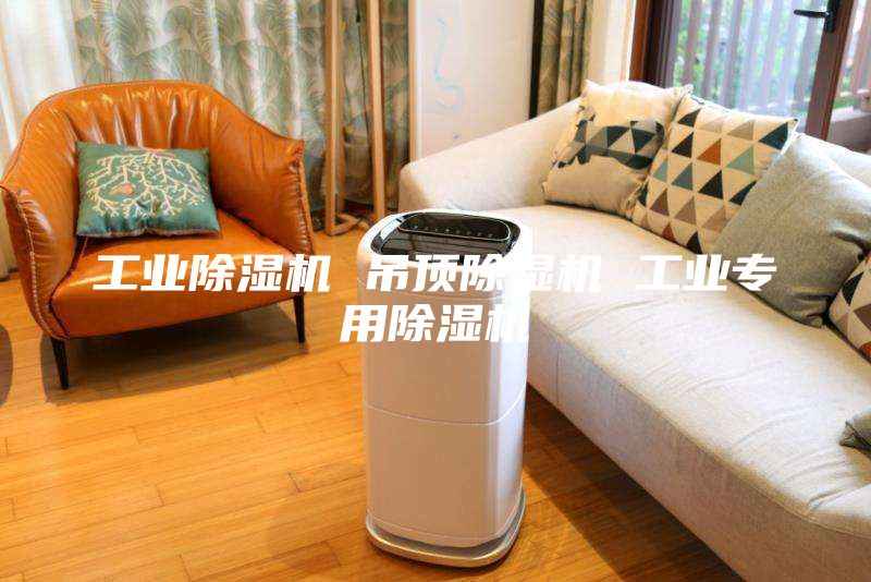 工业除湿机 吊顶除湿机 工业专用除湿机