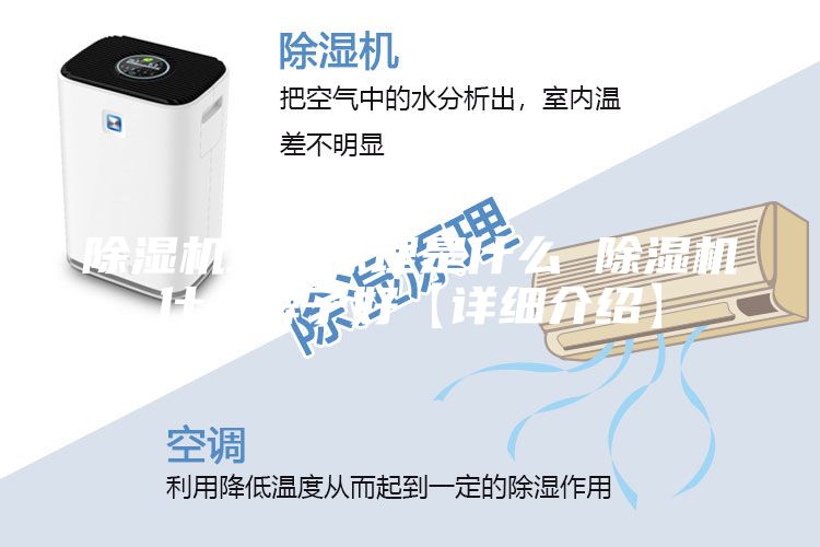 除湿机工作原理是什么 除湿机什么牌子好【详细介绍】