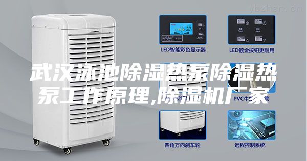 武汉泳池除湿热泵除湿热泵工作原理,除湿机厂家