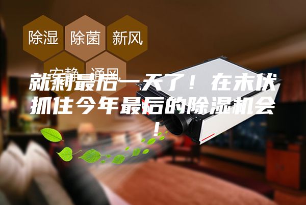 就剩最后一天了！在末伏抓住今年最后的除湿机会！